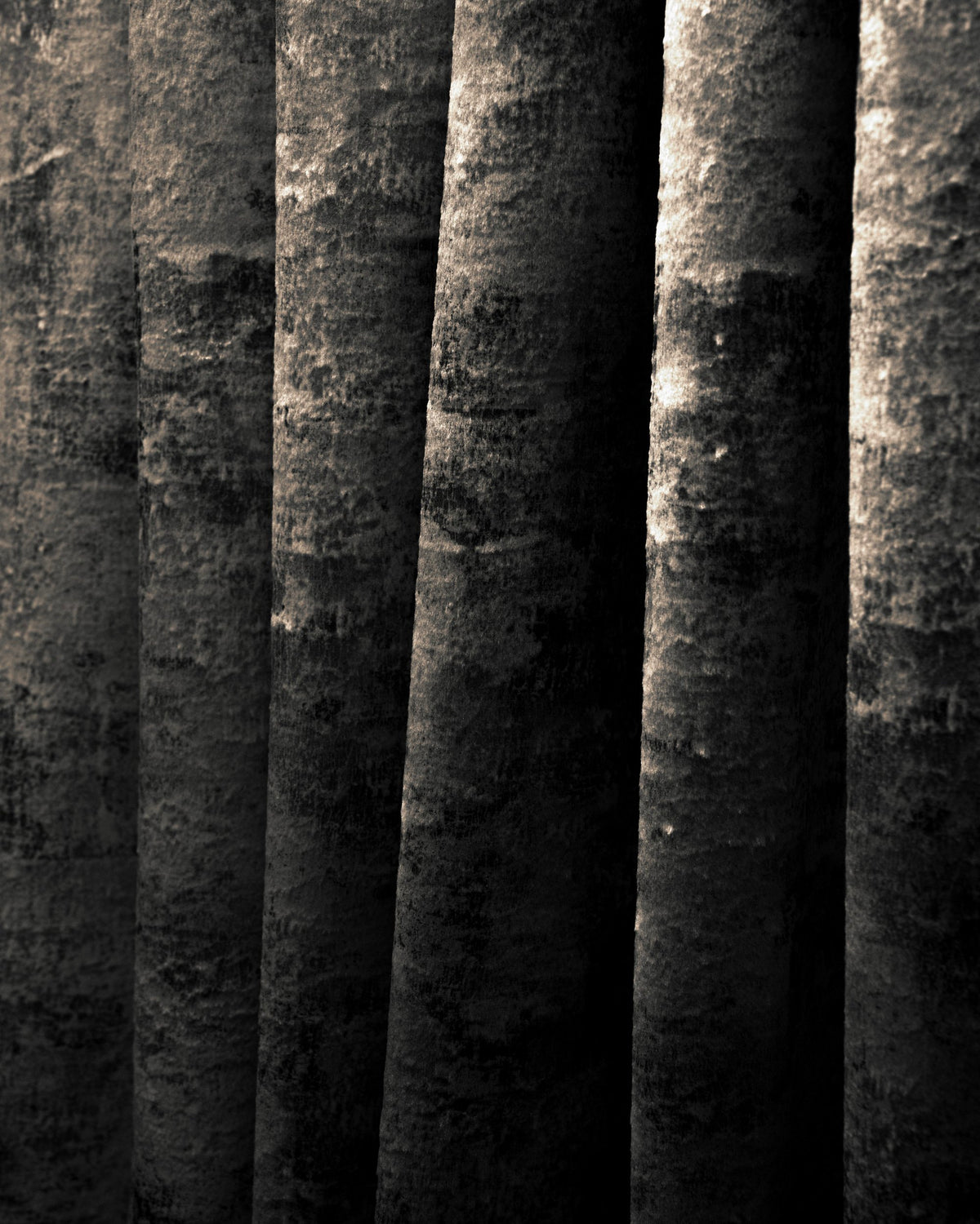 Close-up of dark, textured velvet drapery fabric swatch, showcasing foil print pattern & rich folds for custom window treatments.
