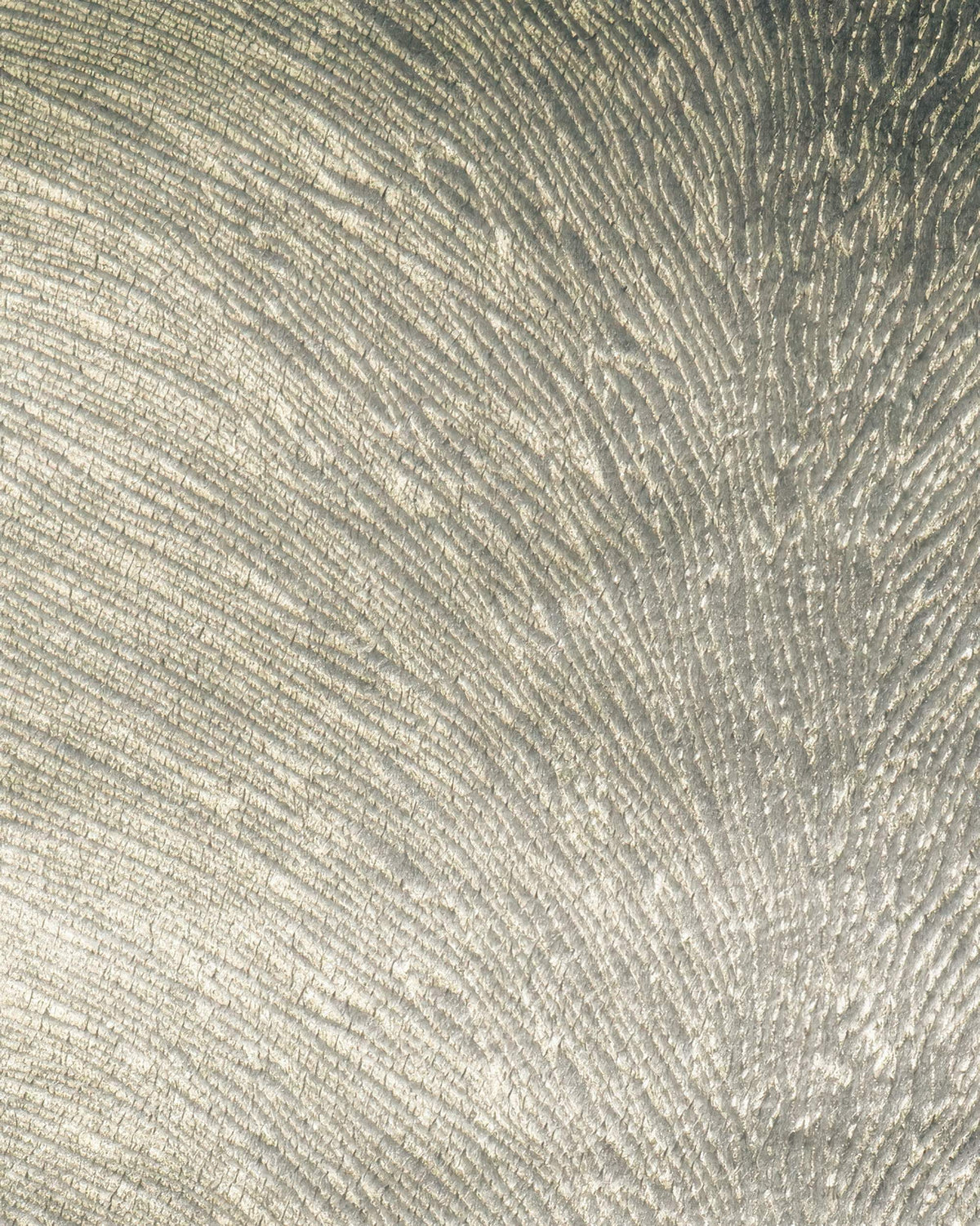 Palma foil printed velvet custom curtain, showcasing a shimmering, intricate palm leaf vein pattern texture.