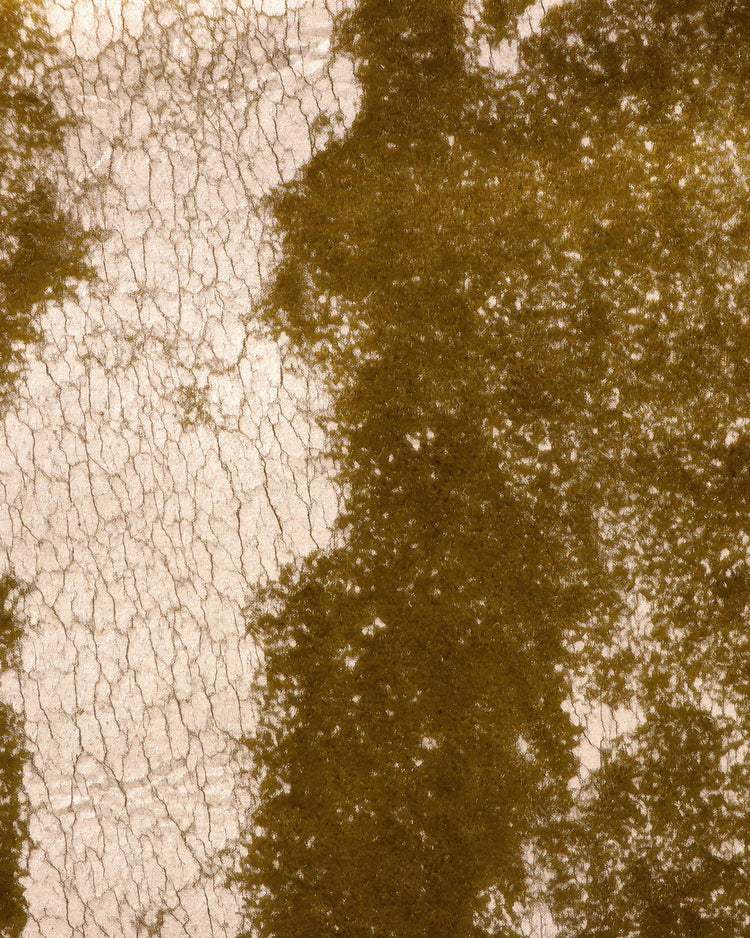 Close-up of Casablanca custom curtain fabric, showcasing its golden foil-printed velvet texture with an intricate, organic patterned design.