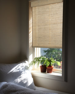 Sunlit ecru Mia jute woven window shade provides natural light filtering & privacy, with ferns on a sill.