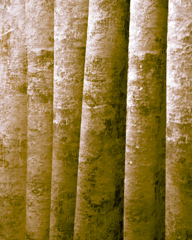 Close-up of rich gold Impression velvet custom drapery, revealing soft folds and subtle foil printed textured patterns for luxury window treatments.